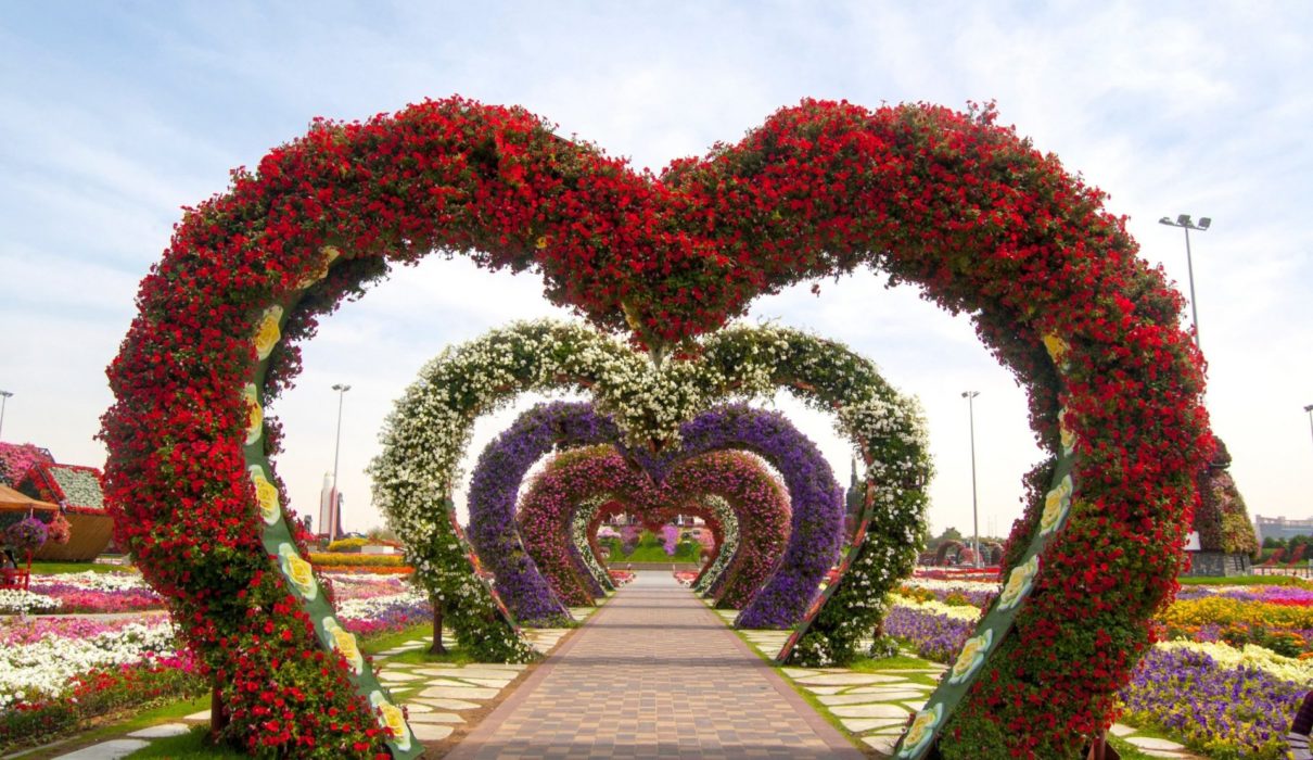 Miracle Garden