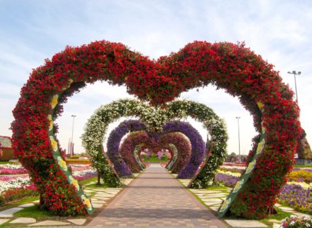 Miracle Garden