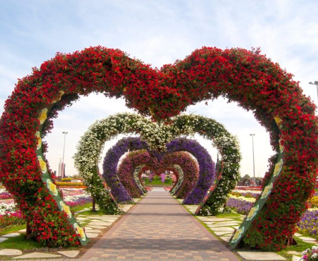 Miracle Garden