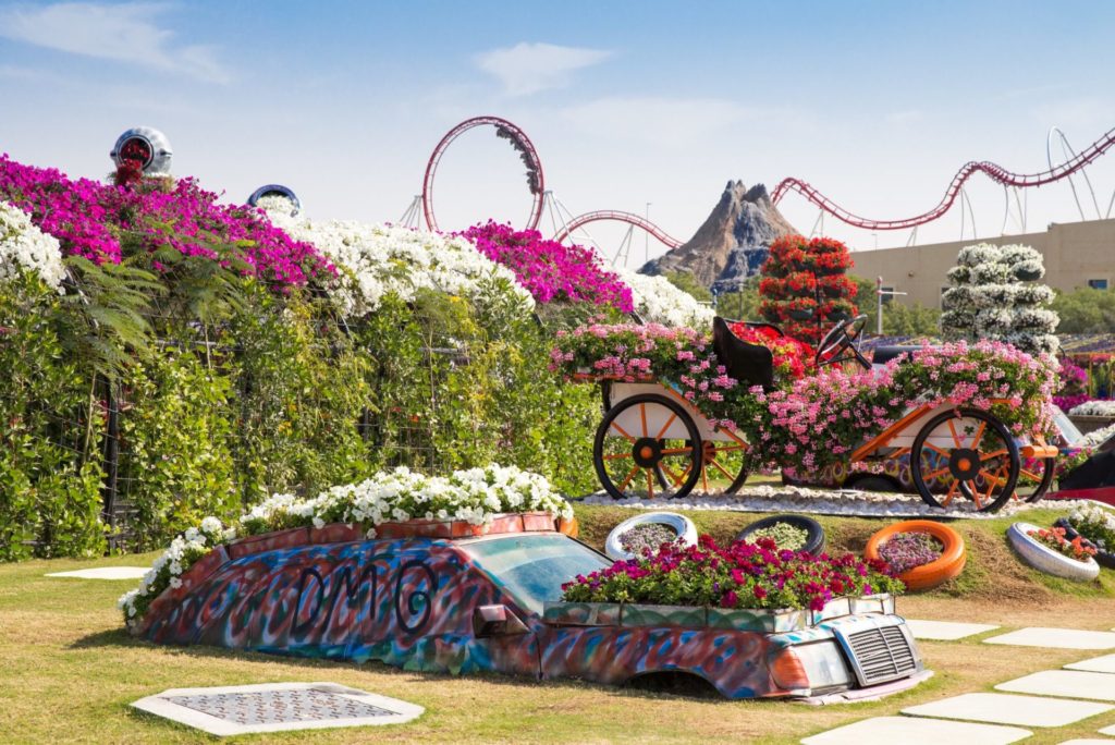 Miracle Garden